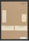 Diatomeae indet. Zeichnungen Sammlung Grunow Nr. 2597 (NHMW-BOT-W0369790)